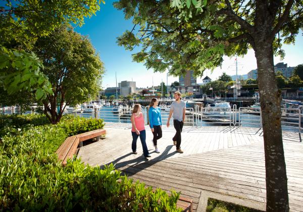 3 students walking along a sunny boardwalk near the waterfont