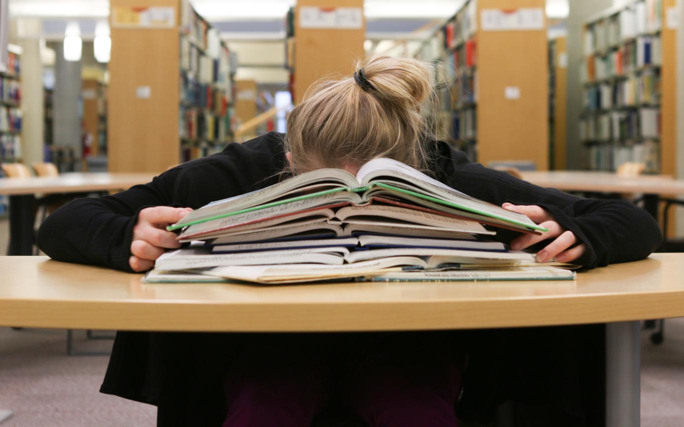Student Studying Higher Resolution